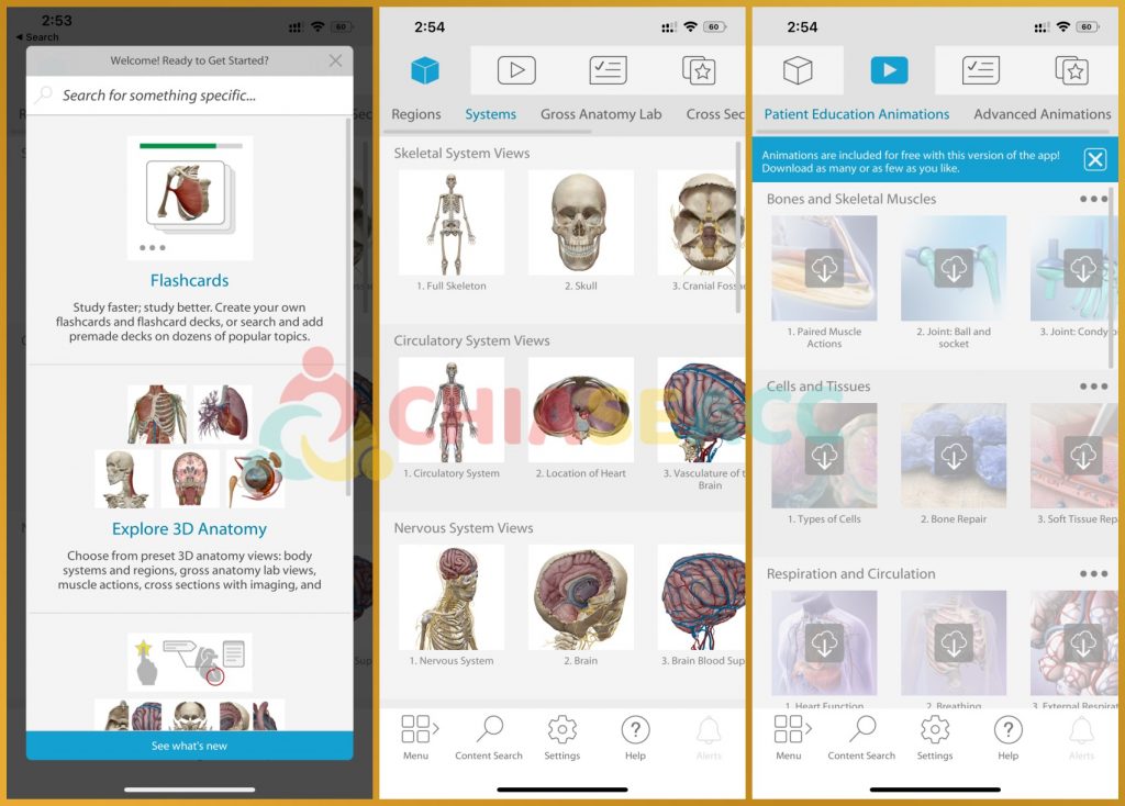 Human Anatomy Atlas 2023 full tính năng ios android web giá rẻ