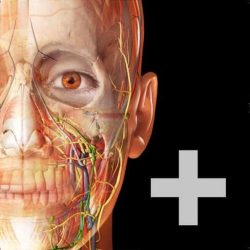 human anatomy atlas 2022