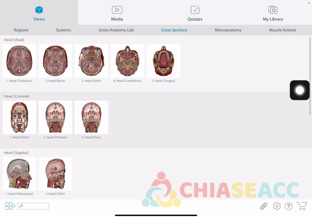 Human Anatomy Atlas 2026 Full In App M Kho T T C T Nh N Ng Human Anatony Atlas Giai Phau Ipad Full In App 1024x715 